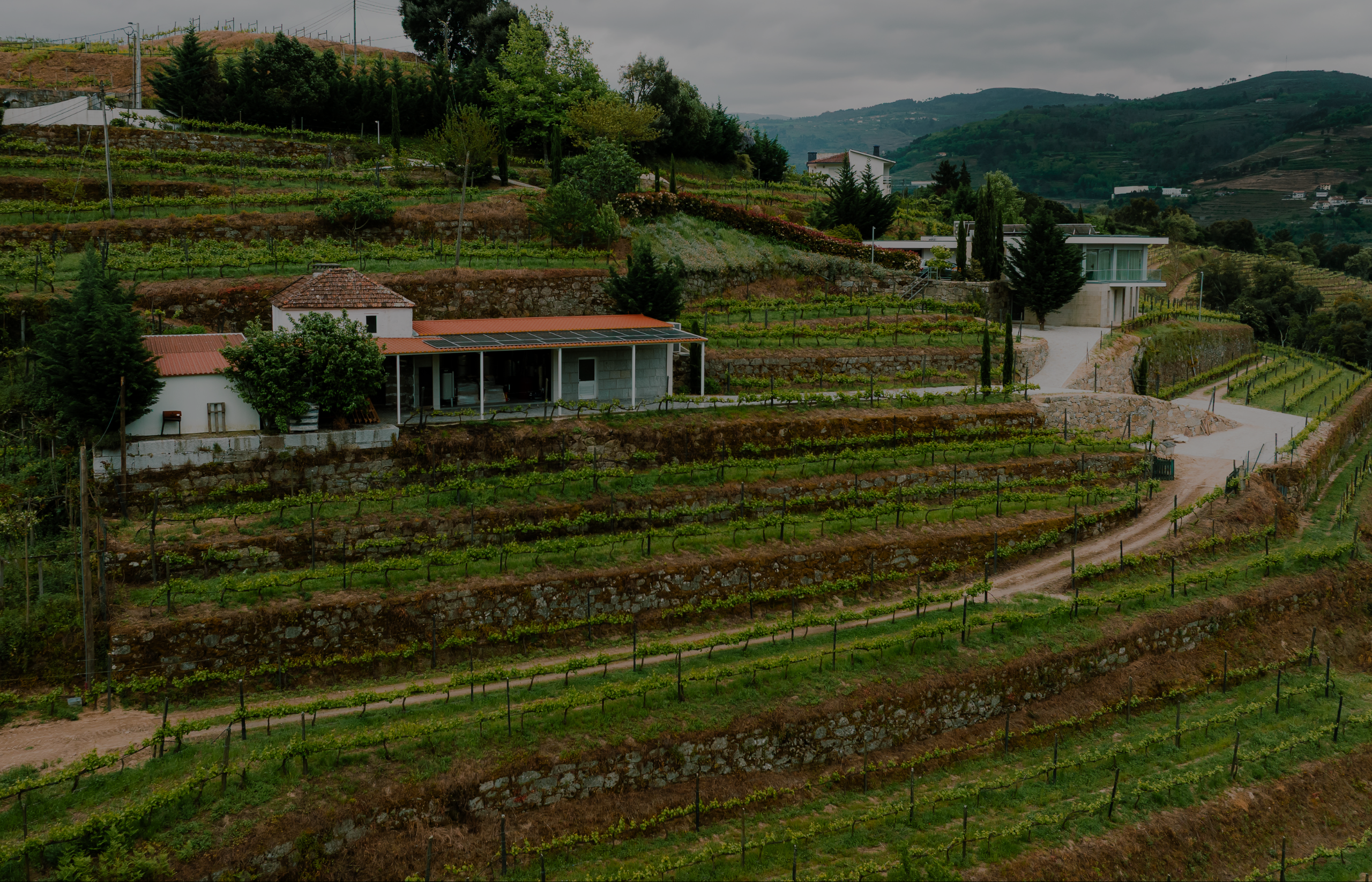 Agricultura_regenerativa_Quinta_Miradouro_Dizimos